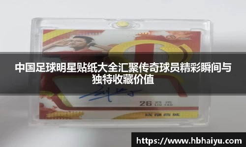 中国足球明星贴纸大全汇聚传奇球员精彩瞬间与独特收藏价值